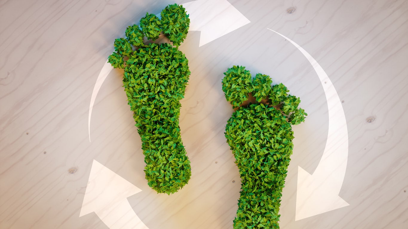 What does carbon negative mean? Ethos